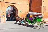Tourists in Marrakech enjoying a horse and cart ride around the old medina, Marrakech, Morocco, North Africa, Africa