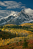 Mears Peak with snow and yellow aspens in the fall, Uncompahgre National Forest, Colorado, United States of America, North America