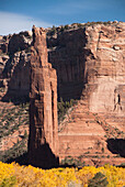 Canyon de Chelly National Monument, View from the Whitehouse Overlook, Arizona, United States of America