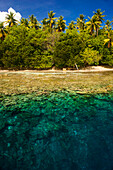 Crystal clear water and an islet in the Ant Atoll, Pohnpei, Micronesia, Pacific