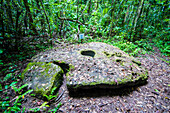 Old stone money on Carp island, Rock islands, Palau, Central Pacific, Pacific