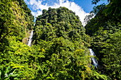 Trafalgar Falls, Morne Trois Pitons National Park, UNESCO World Heritage Site, Dominica, West Indies, Caribbean, Central America