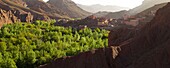 Panoramic landscape photo of Dades Gorge, Morocco, North Africa, Africa