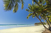 'The white sand palm-fringed beach at this laid-back village & resort; Samara, Guanacaste Province, Nicoya Peninsula, Costa Rica, Central America'