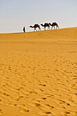 Camel caravan in Erg Chebbi Desert, Sahara Desert near Merzouga, Morocco, North Africa, Africa