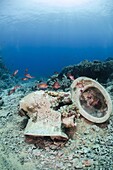 Collection of toilet bowls from shipwreck scattered on seabed, Ras Mohammed National Park, Red Sea, Egypt, North Africa, Africa