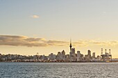 Auckland city skyline at sunset, Auckland, North Island, New Zealand, Pacific