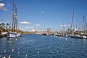 Barcelona Port, Barcelona, Catalonia, Spain, Europe