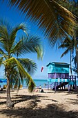 Luquillo Beach, Puerto Rico, West Indies, Caribbean, Central America