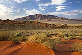 View across landscape of sand dunes and mountains at Wolwedans, part of Namib Rand game reserve, Namib Naukluft Park, Namibia, Africa