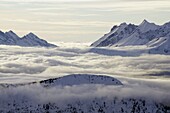 Europe, France, French Alps, Haute-Savoie, Chamonix, Chamonix valley, sea of clouds