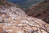 Salt pans (mines) at Maras, Sacred Valley, Peru, South America