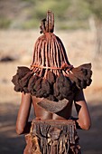Rear view of young Himba woman showing traditional leather clothing and jewellery, hair braiding and skin covered in Otjize, a mixture of butterfat and ochre, Kunene Region (formerly Kaokoland) in the far north of Namibia