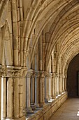 The Cloister, The Cistercian Abbey of Noirlac, Bruere-Allichamps, Cher, Centre, France, Europe