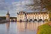 The River Cher and Chateau Chenonceau lit up by the setting sun, Indre-et-Loire, Centre, France, Europe