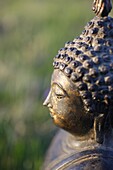 Thai Buddha, Haute Savoie, France, Europe
