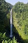 Akaka Falls, the Island of Hawaii (Big Island), Hawaii, United States of America, North America