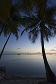 Rangiroa, Tuamotu Archipelago, French Polynesia, Pacific Islands, Pacific