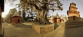 Panorama produced by joining several images, of chaityas at dawn, at one of the holiest Hindu sites, Pashupatinath, Kathmandu, Nepal, Asia