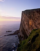 Da Rokness vertical cliff at sunset, with puffins, Foula, Shetland Islands, Scotland, United Kingdom, Europe