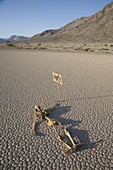 The Racetrack Point, Death Valley National Park, California, United States of America, North America
