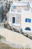 People riding mules up a stairway, Oia, Santorini, Cyclades Islands, Greek Islands, Greece, Europe