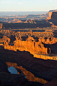 Sunrise at Dead Horse Point looking out at the Colorado River in Canyonlands National Park, Dead Horse Point State Park, Utah, United States of America, North America