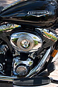 Harley Davidson motorcycle, Key West, Florida, United States of America, North America