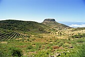 Area between Erquito and Las Hayas, La Gomera, Canary Islands, Spain, Atlantic, Europe