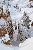 Snow, trees, and hoodoos, Bryce Canyon National Park, Utah, United States of America, North America