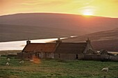 Abandoned house, and sunset, Unst, Shetland Islands, Scotland, United Kingdom, Europe
