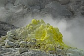 Steaming sulphur dome on volcanic solfatara vent, Io-zan, Kussharo caldera, Akan National Park, Hokkaido, Japan, Asia