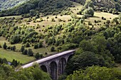 Monsal Head viaduct, from Monsal Head viewpoint, White Peak, Peak District National Park, Derbyshire, England, United Kingdom, Europe