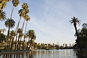 Downtown district skyscrapers located behind Echo Park Lake, Los Angeles, California, United States of America, North America
