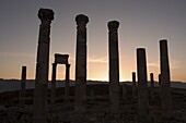 Archaelogical site at sunset, Apamea (Qalat at al-Mudiq), Syria, Middle East