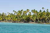 Tikehau, Tuamotu Archipelago, French Polynesia, Pacific Islands, Pacific