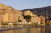 Camogli, Riviera di Levante, Liguria, Italy, Europe