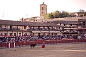 The main square of the village used as the Plaza de Toros, the bulls are young (novillos), Chinchon, Comunidad de Madrid, Spain, Europe