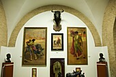 Museum in the Bull Ring, Plaza de Toros De la Maestranza, El Arenal district, Seville, Andalusia, Spain, Europe