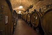 Wine casks in the wine cellars of the Villa Vignamaggio, a wine producer whose wines were the first to be called Chianti, near Greve, Chianti, Tuscany, Italy, Europe
