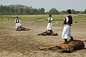 Hungarian cowboy horse show, Bugaci Town, Kiskunsagi National Park, Hungary, Europe