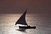 A traditional wooden dhow sailing near Stone Town at sunset, Zanzibar, Tanzania, East Africa, Africa