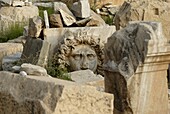 Severan forum, Leptis Magna, UNESCO World Heritage Site, Libya, North Africa, Africa