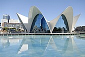 Sumarino restaurant, Oceanografic, City of Arts and Sciences, Valencia, Spain, Europe