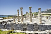 Ruins of Roman town of Baelo Claudia, Bolonia, Costa de la Luz, Cadiz Province, Andalucia (Andalusia), Spain, Europe