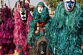 Bobo masks during festivities, Sikasso, Mali, Africa