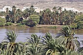 The oasis of Sesibi, founded in the XVIIIth dynasty, 3rd cataract of the River Nile, Nubia, Sudan, Africa