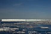 Iceberg and pack ice, Weddell Sea, Antarctic Peninsula, Antarctica, Polar Regions