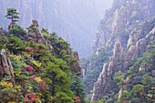 North Sea Scenic Area, Mount Huangshan (Yellow Mountain), UNESCO World Heritage Site, Anhui Province, China, Asia