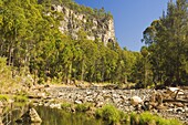 Carnarvon Creek, Carnarvon Gorge, Carnarvon National Park, Queensland, Australia, Pacific